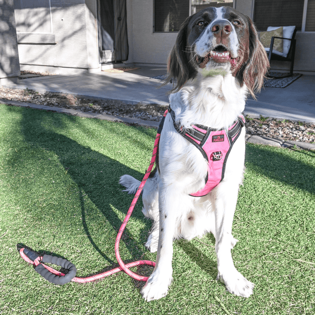 Furulais Dog Harness